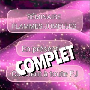 Séminaire flammes jumelles juin 2025